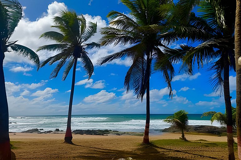 Studio aconchegante perto do mar