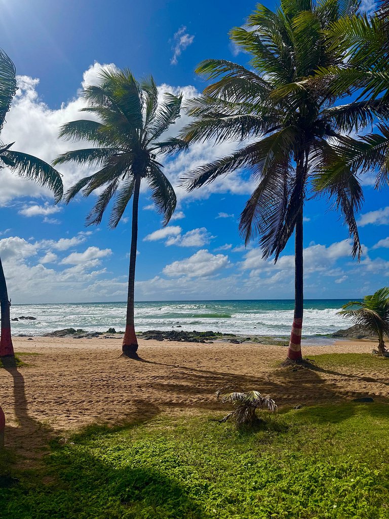 Linda vista para o mar e piscina na cobertura